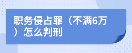 职务侵占罪（不满6万）怎么判刑