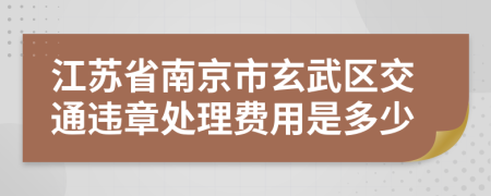 江苏省南京市玄武区交通违章处理费用是多少