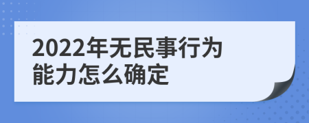 2022年无民事行为能力怎么确定