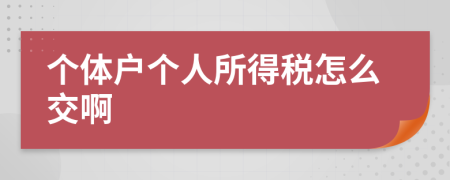 个体户个人所得税怎么交啊