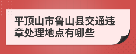 平顶山市鲁山县交通违章处理地点有哪些