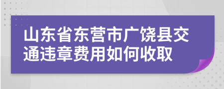 山东省东营市广饶县交通违章费用如何收取