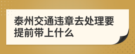 泰州交通违章去处理要提前带上什么