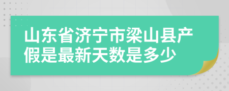 山东省济宁市梁山县产假是最新天数是多少