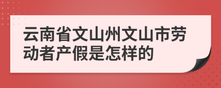 云南省文山州文山市劳动者产假是怎样的