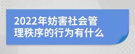 2022年妨害社会管理秩序的行为有什么