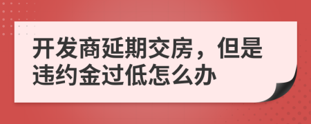 开发商延期交房，但是违约金过低怎么办