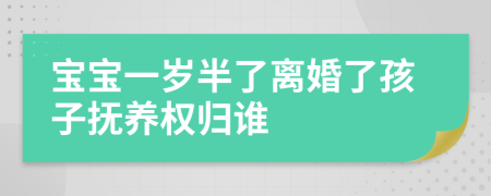 宝宝一岁半了离婚了孩子抚养权归谁