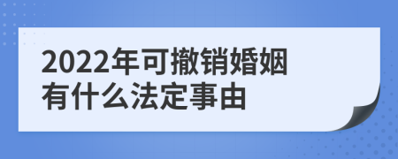 2022年可撤销婚姻有什么法定事由