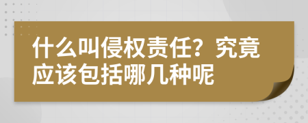 什么叫侵权责任？究竟应该包括哪几种呢