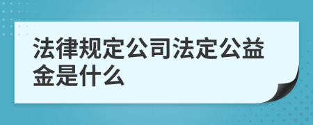 法律规定公司法定公益金是什么