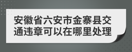 安徽省六安市金寨县交通违章可以在哪里处理