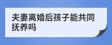 夫妻离婚后孩子能共同抚养吗