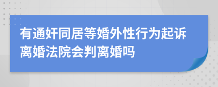 有通奸同居等婚外性行为起诉离婚法院会判离婚吗