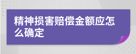 精神损害赔偿金额应怎么确定