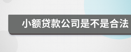 小额贷款公司是不是合法