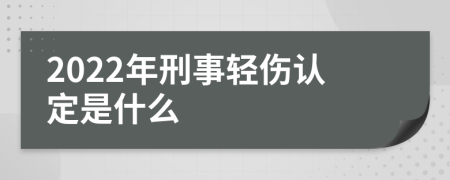 2022年刑事轻伤认定是什么