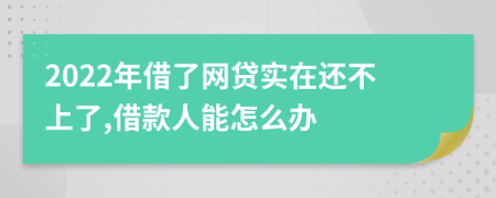 2022年借了网贷实在还不上了,借款人能怎么办