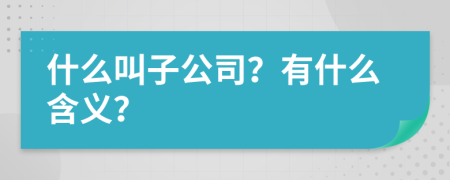 什么叫子公司？有什么含义？