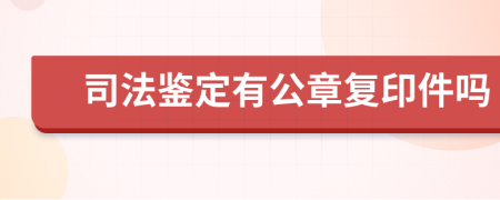 司法鉴定有公章复印件吗