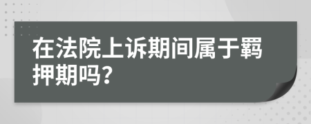 在法院上诉期间属于羁押期吗？