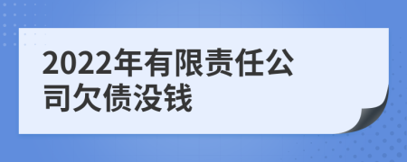 2022年有限责任公司欠债没钱