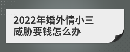 2022年婚外情小三威胁要钱怎么办