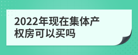 2022年现在集体产权房可以买吗