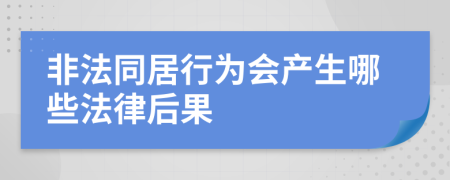 非法同居行为会产生哪些法律后果