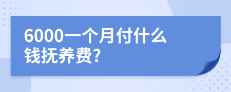 6000一个月付什么钱抚养费?