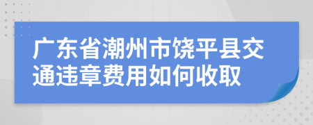 广东省潮州市饶平县交通违章费用如何收取