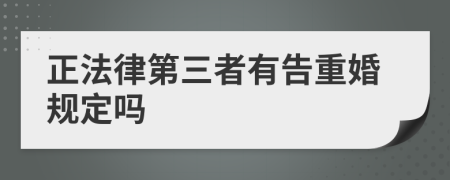 正法律第三者有告重婚规定吗