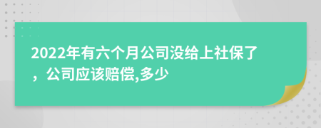 2022年有六个月公司没给上社保了，公司应该赔偿,多少