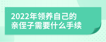 2022年领养自己的亲侄子需要什么手续