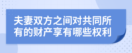 夫妻双方之间对共同所有的财产享有哪些权利