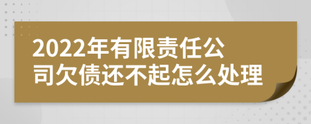 2022年有限责任公司欠债还不起怎么处理