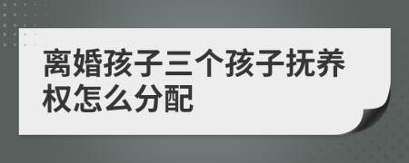 离婚孩子三个孩子抚养权怎么分配