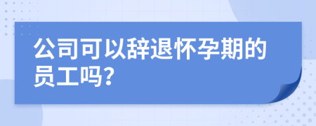 公司可以辞退怀孕期的员工吗？