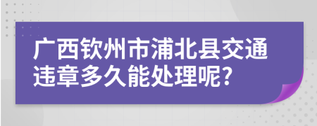 广西钦州市浦北县交通违章多久能处理呢?