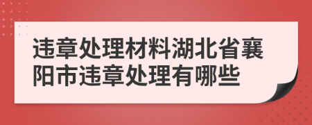 违章处理材料湖北省襄阳市违章处理有哪些