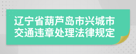 辽宁省葫芦岛市兴城市交通违章处理法律规定