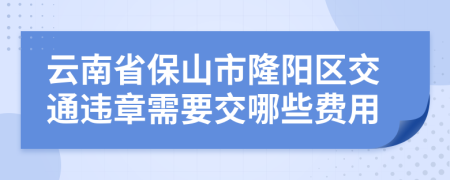 云南省保山市隆阳区交通违章需要交哪些费用