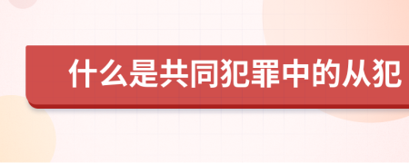 什么是共同犯罪中的从犯