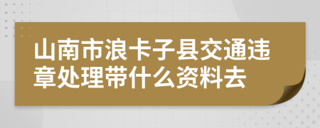 山南市浪卡子县交通违章处理带什么资料去