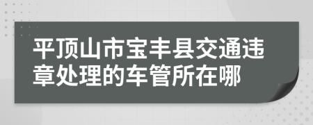 平顶山市宝丰县交通违章处理的车管所在哪