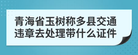 青海省玉树称多县交通违章去处理带什么证件