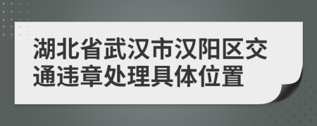 湖北省武汉市汉阳区交通违章处理具体位置