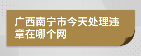 广西南宁市今天处理违章在哪个网