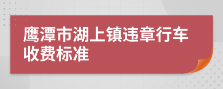 鹰潭市湖上镇违章行车收费标准