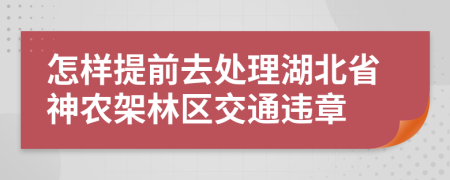 怎样提前去处理湖北省神农架林区交通违章